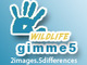 gimme5 - wildlife