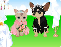 Pet Wedding Dress Up