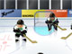 Hockey Shot Hockey Shot
