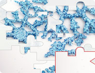 Snowflake Puzzle