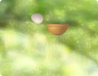 Chick and Eggs
