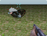 Turkey Shooter 3D