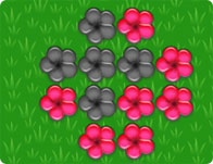 Red Flowers