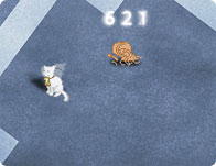 Time4Cat