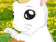 Cute Bunny Dressup