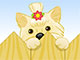 My Glamour Dog