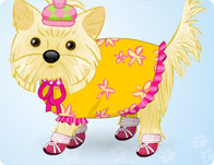My Glamour Dog