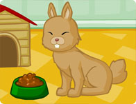 Pet Creator