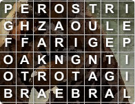 Zoo Wordsearch