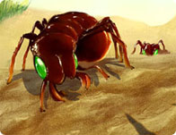 Bug War
