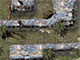 Dino-Hunter Defense Dino-Hunter Defense