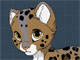 Kitten Maker Kitten Maker