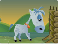 Horsey Racing