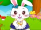 Cute Bunny Cute Bunny