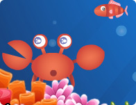 Star Fish