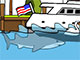 Miami Shark Miami Shark