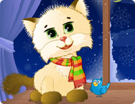 Cuddles The Kitten