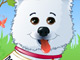 Animals and Pets