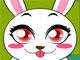 Rabbit Marathon Rabbit Marathon