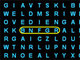 Custom Word Search