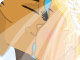 A Veiled Kiss