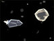 Asteroid Miner