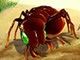 Bug War Bug War