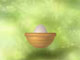 Chick and Eggs Chick and Eggs