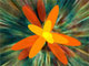 Cursorized! 2