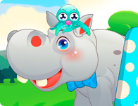 Cute Hippo Care