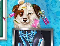 Pet Rescue Game Play Free