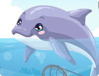 Dolphin Care