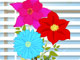 Flower Designer