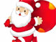 Fun Santa Jigsaw Puzzle