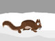 Go Squirrel Go!