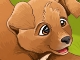 Hanna's Sweet Puppies