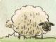 Home Sheep Home