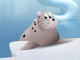 Ice Slide
