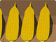 Indian Corn Shop