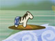 James The Beach Zebra James The Beach Zebra