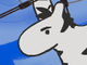 James The Pirate Zebra