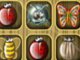 Lisa's Cute Bugs