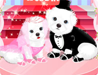 Lovely Puppies' Wedding