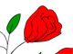 Mother day flowers Mother day flowers