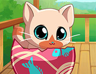 My Pocket Pets: Kitty Cat