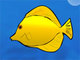 Ocean Explorer