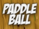 Paddle Ball
