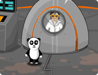 Panda's Big Adventure