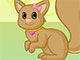 Pet Creator