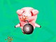Pig Wars